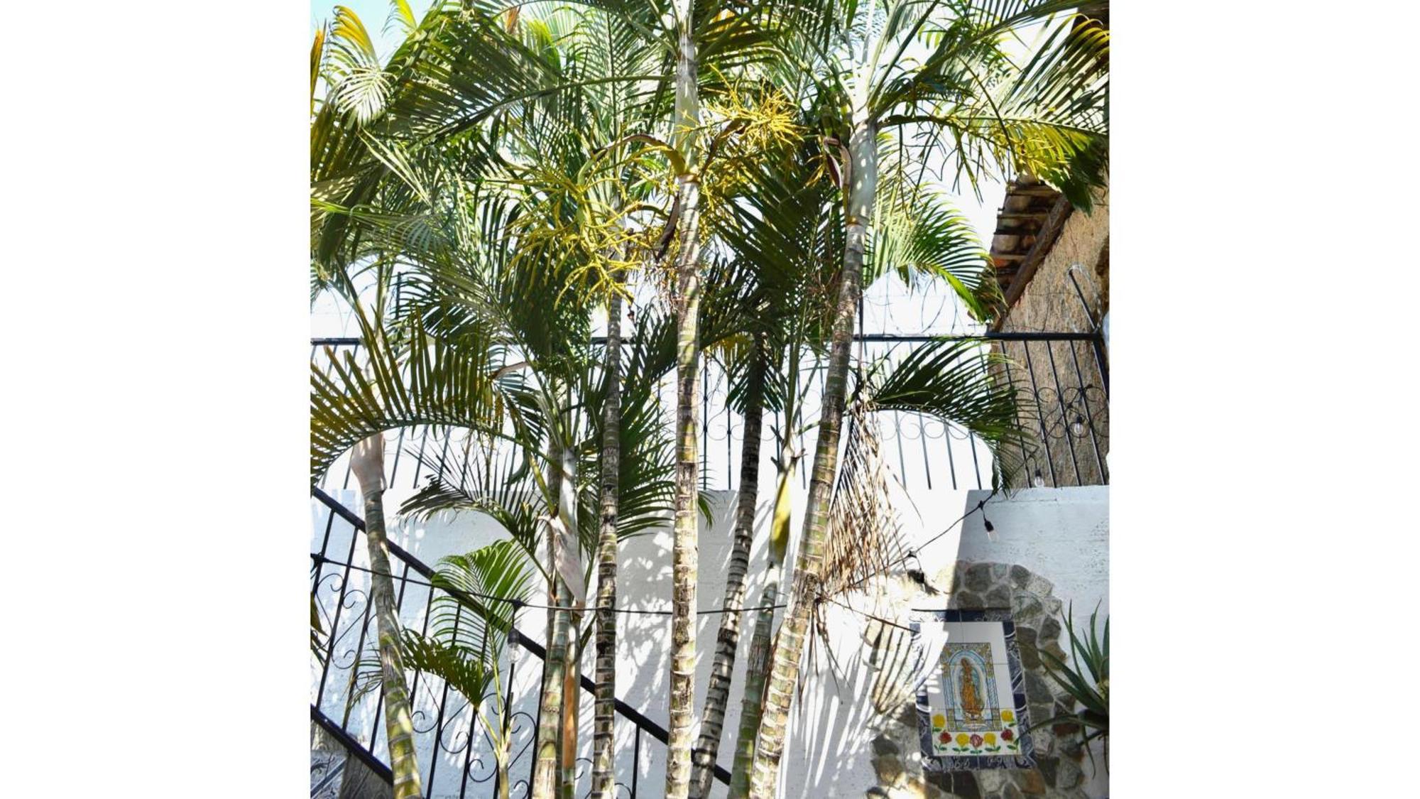 Casa Coco Hostel Santa Ana Exteriér fotografie