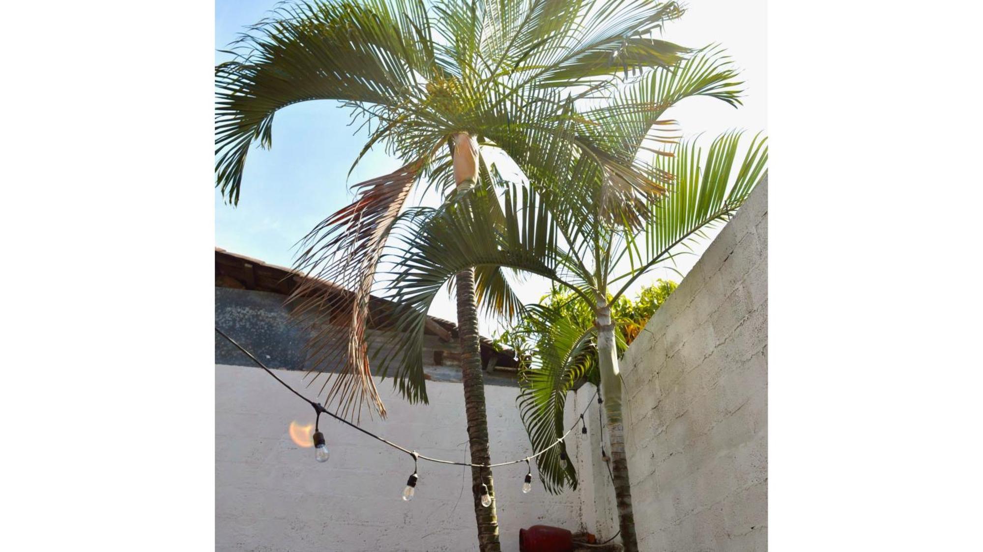 Casa Coco Hostel Santa Ana Exteriér fotografie